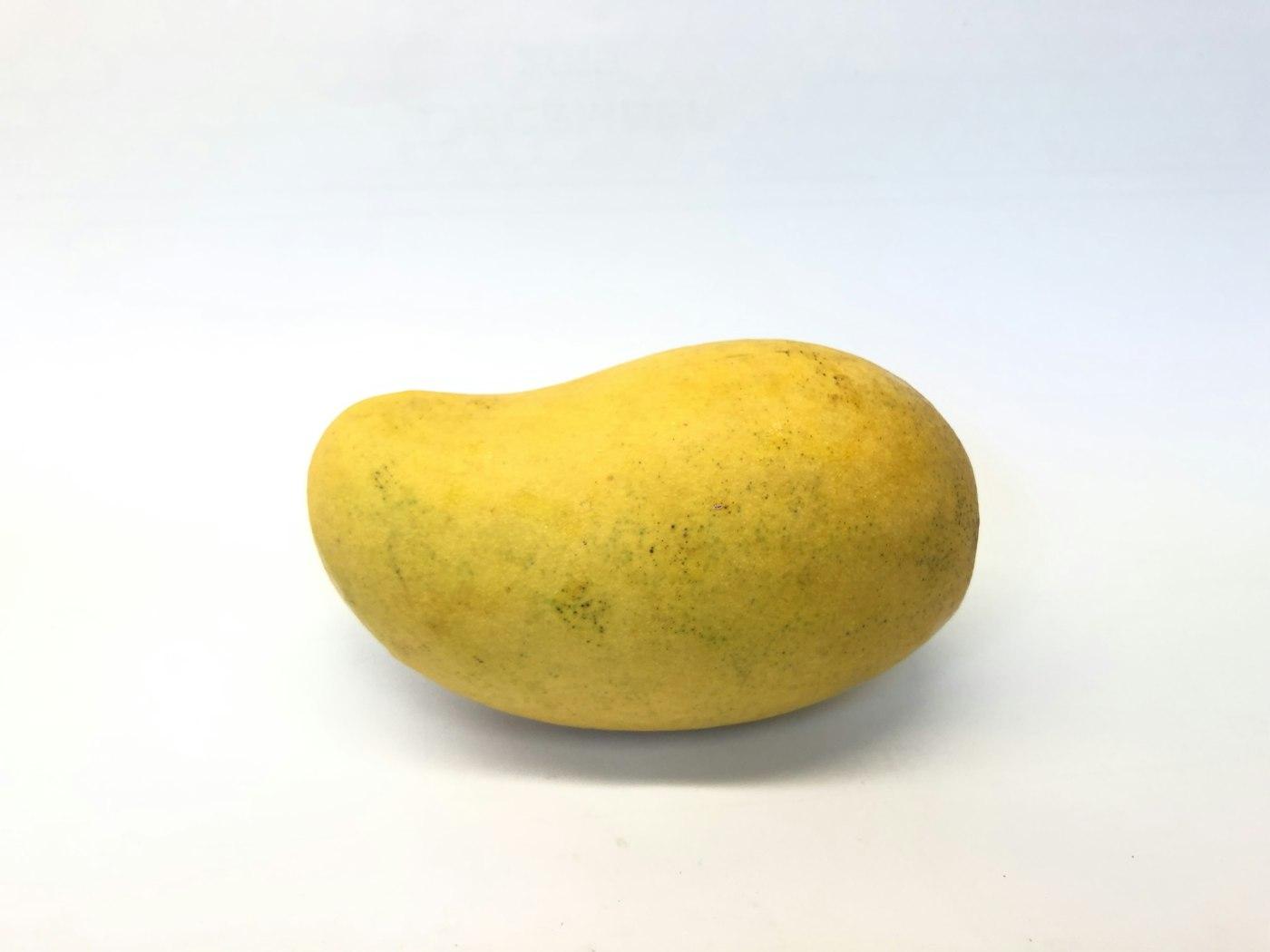 A single ripe yellow Sindhri mango